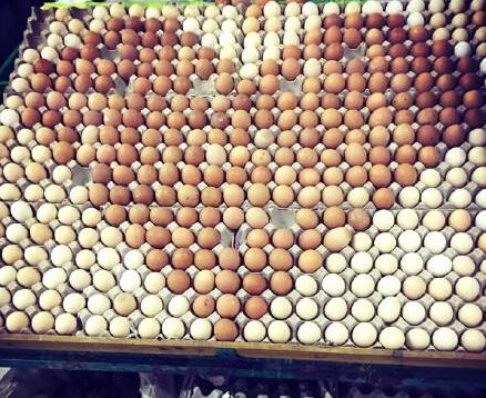 【娱乐】折腾到联合国也不怕?