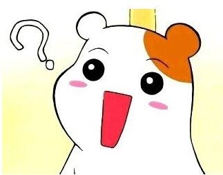 【囧图】小鸡!小鸡!你怎么了?