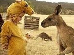 冷知识:宵夜跟夜宵并不是同义词!