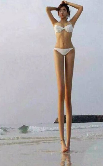 【娱乐】折腾到联合国也不怕?