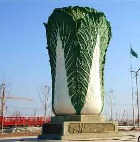 【囧图】男生半年夹3000多只娃娃!