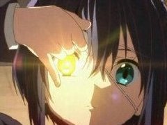 冷知识:企鹅也是一夫一妻制!