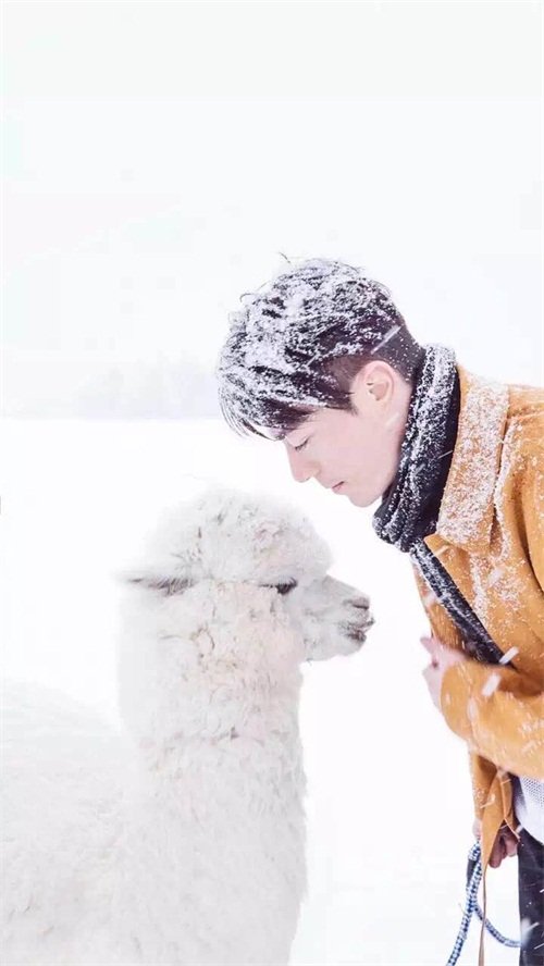 全民猜想！《梦幻西游2》即将迎来全新代言人？