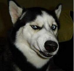 太污了!舌头屁股这些部位也可以玩游戏